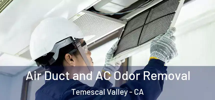 Air Duct and AC Odor Removal Temescal Valley - CA