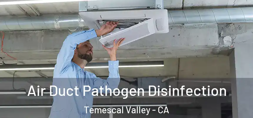  Air Duct Pathogen Disinfection Temescal Valley - CA