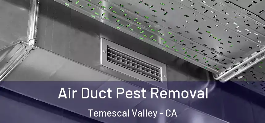 Air Duct Pest Removal Temescal Valley - CA