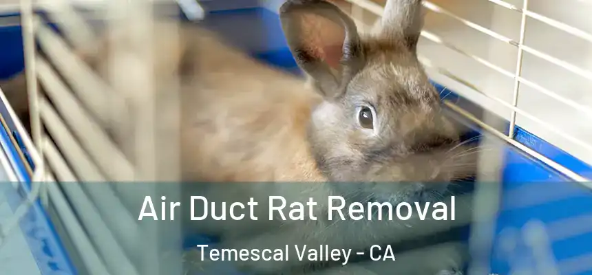 Air Duct Rat Removal Temescal Valley - CA