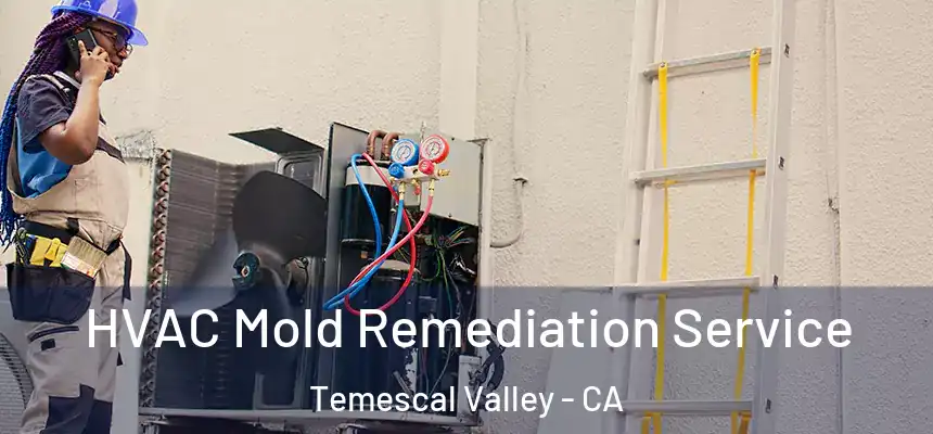  HVAC Mold Remediation Service Temescal Valley - CA