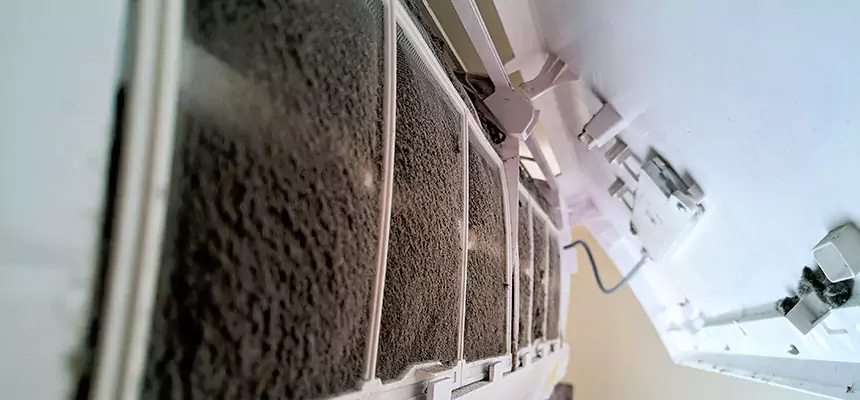 Preventive Air Duct Bacteria Removal in Temescal Valley