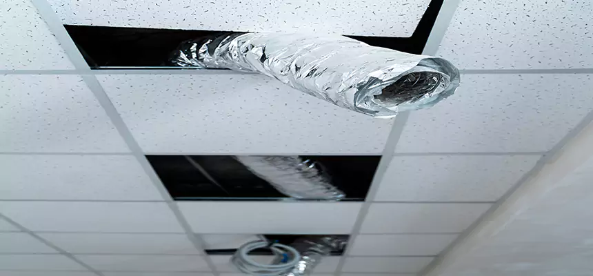 Affordable HVAC Sanitizing After Pest Removal in Temescal Valley