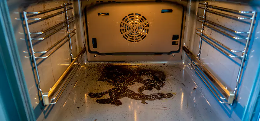 Our Dryer Vent Mold Cleaning Services in Temescal Valley, CA