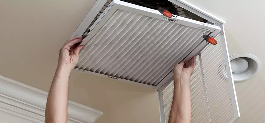 Our Insect Removal from Air Ducts Services in Temescal Valley, CA