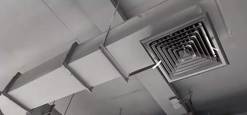 Our Pest Removal From Ducts Services in Temescal Valley, CA