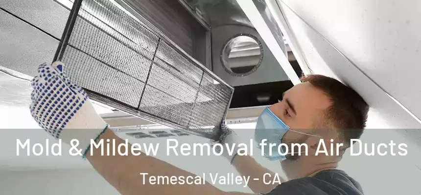  Mold & Mildew Removal from Air Ducts Temescal Valley - CA