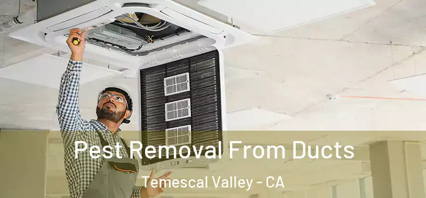  Pest Removal From Ducts Temescal Valley - CA