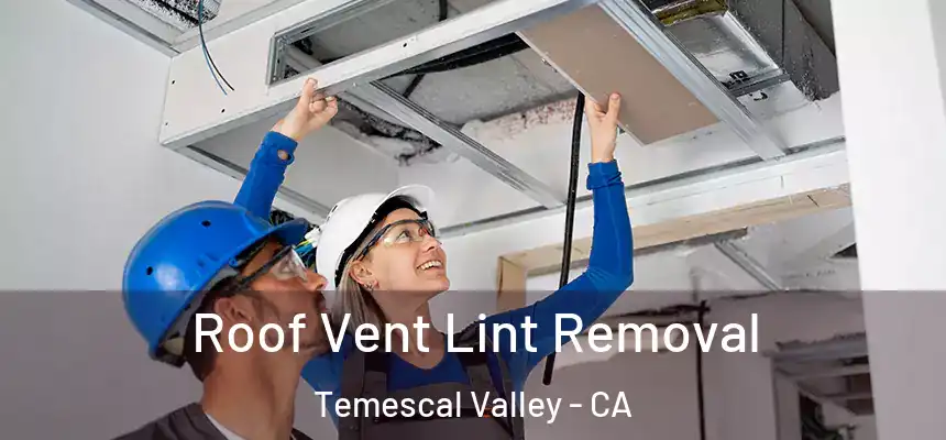 Roof Vent Lint Removal Temescal Valley - CA