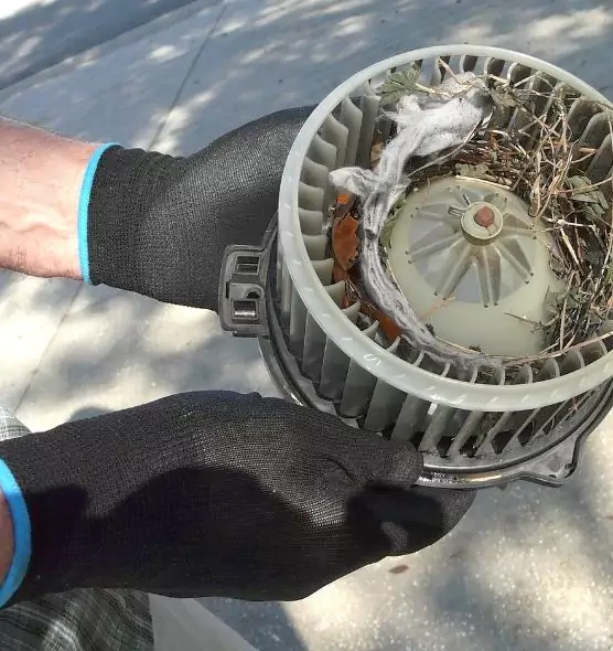 About Air Duct Mice Removal in Temescal Valley, CA