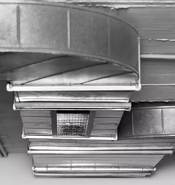 Professional Air Duct Pest Removal in Temescal Valley, CA