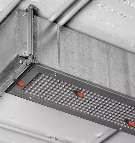 Affordable Insect Removal from Air Ducts in Temescal Valley, CA