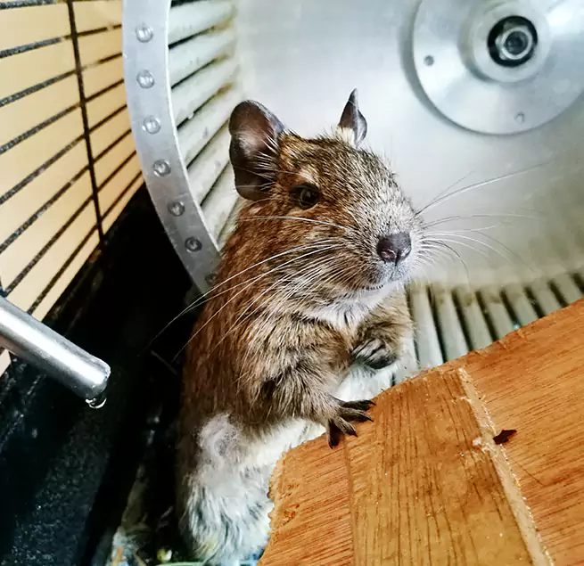 Why Homeowners & Businesses Trust Us Temescal Valley, CA