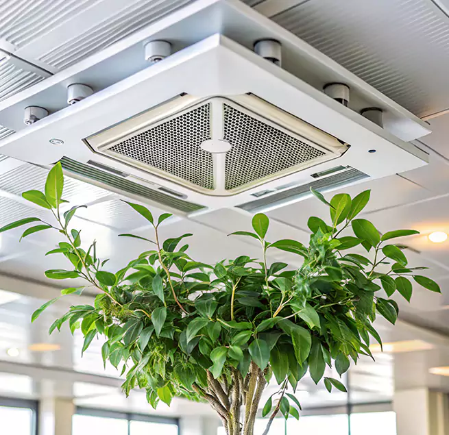 Why Homeowners & Businesses Trust Us in Temescal Valley, CA?