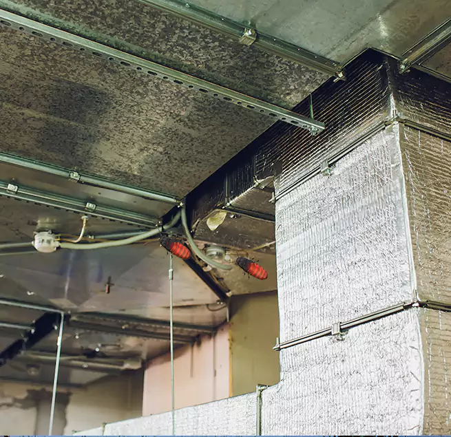 Why Homeowners & Businesses Trust Us Temescal Valley, CA?