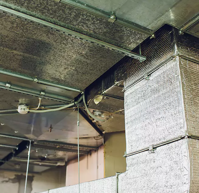 Why Homeowners & Businesses Trust Us in Temescal Valley, CA?